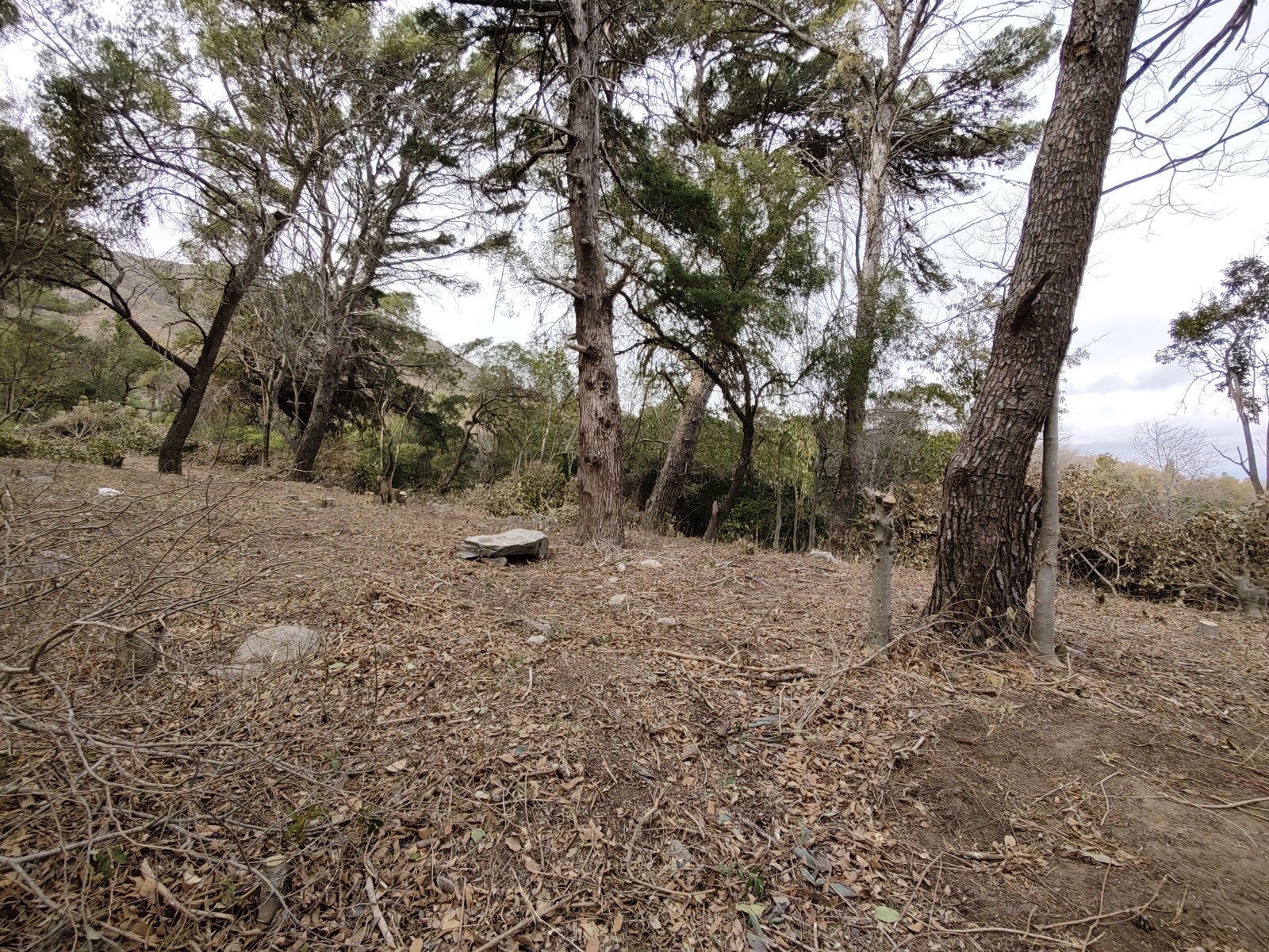 LOTEO B° VILLA EDEN - LA FALDA