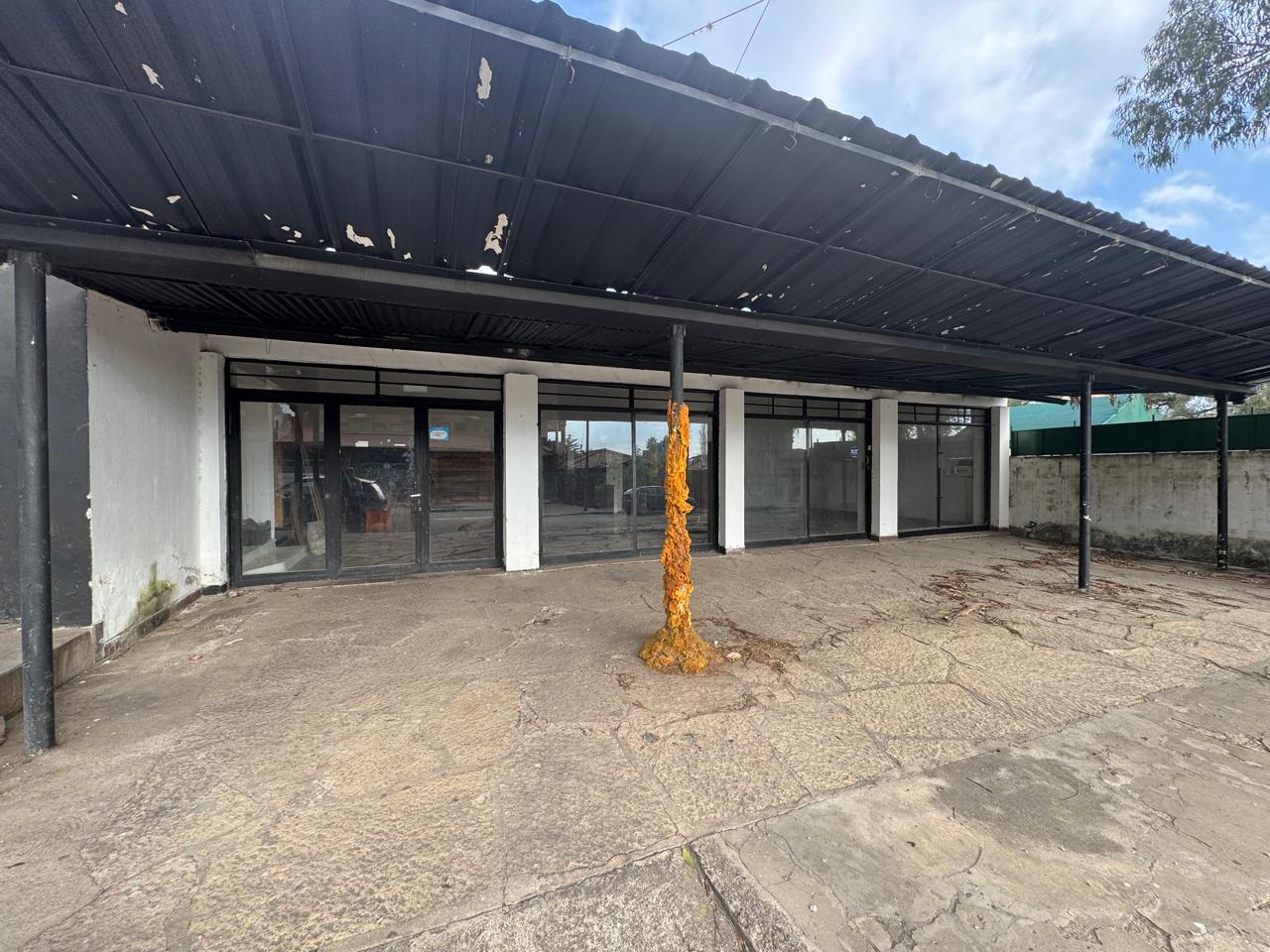 2 LOCALES COMERCIAL CON 3 DEPARTAMENTO - VILLA EDEN - LA FALDA.-