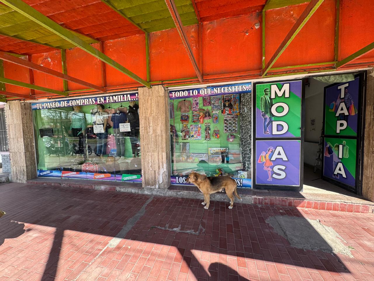 LOCAL COMERCIAL -RUTA 38 - VILLA GIARDINO.-