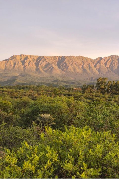 LOTE DE 4 HECTAREAS - CHARBONIER