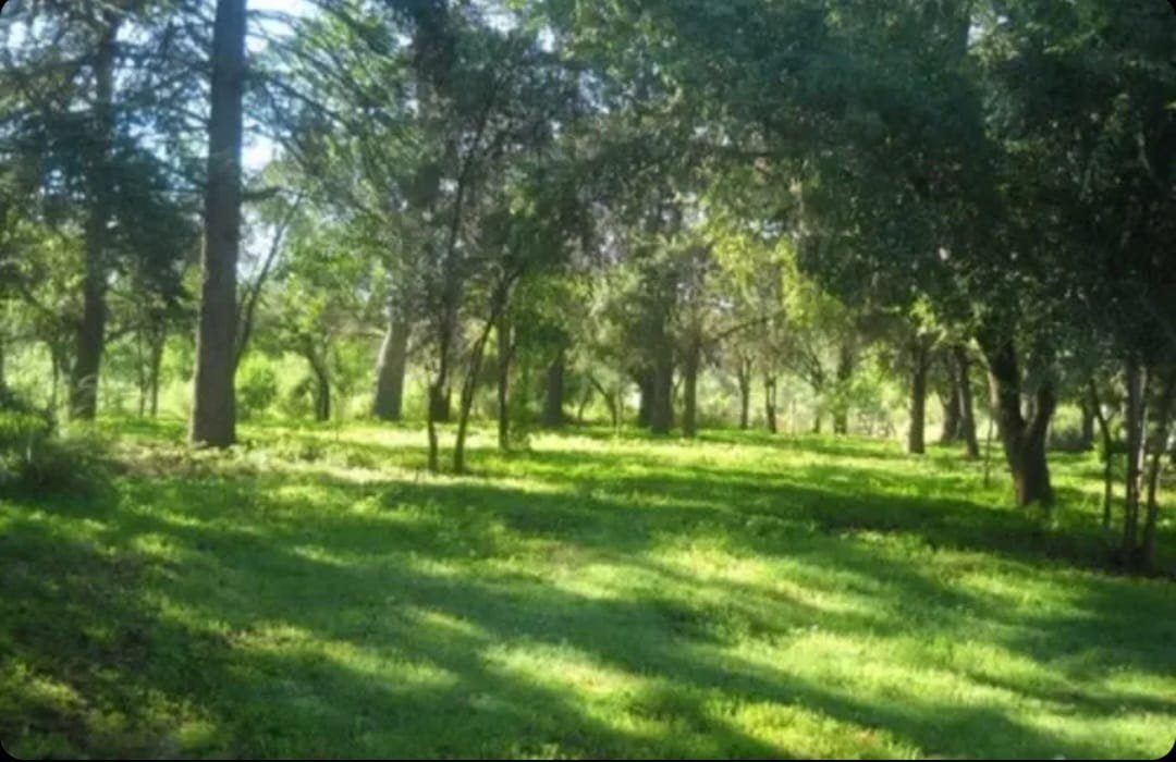 LOTE DE 2 HECTAREAS-CASA  A RECICLAR -VILLA GIARDINO